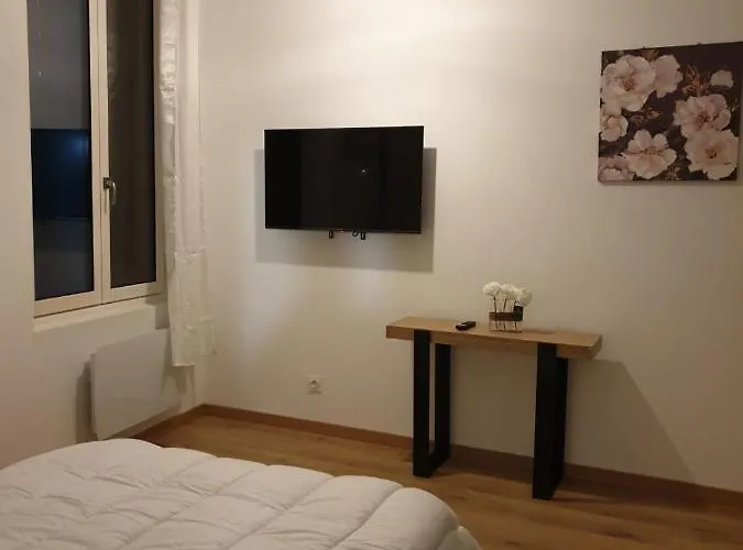 Maillol Centre Historique * Perpignan