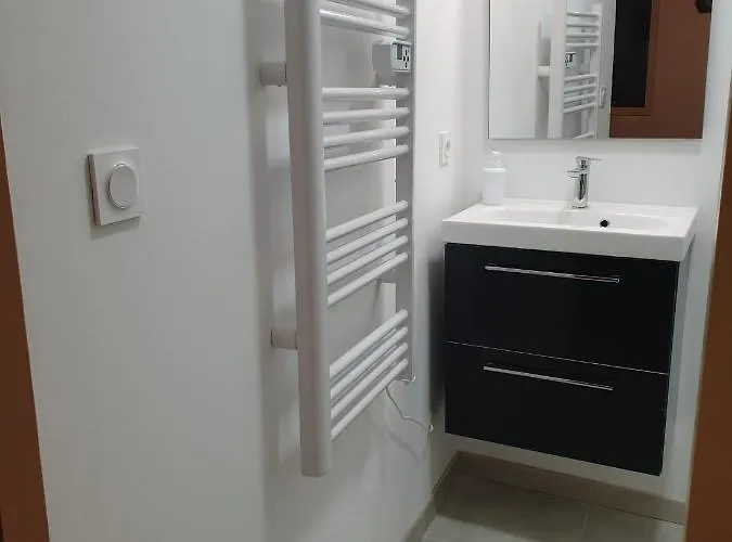 Maillol Centre Historique Appartement Perpignan